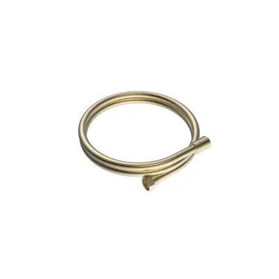 DutchLine - Flexibele Doucheslang 150cm - Geborsteld messing - 1