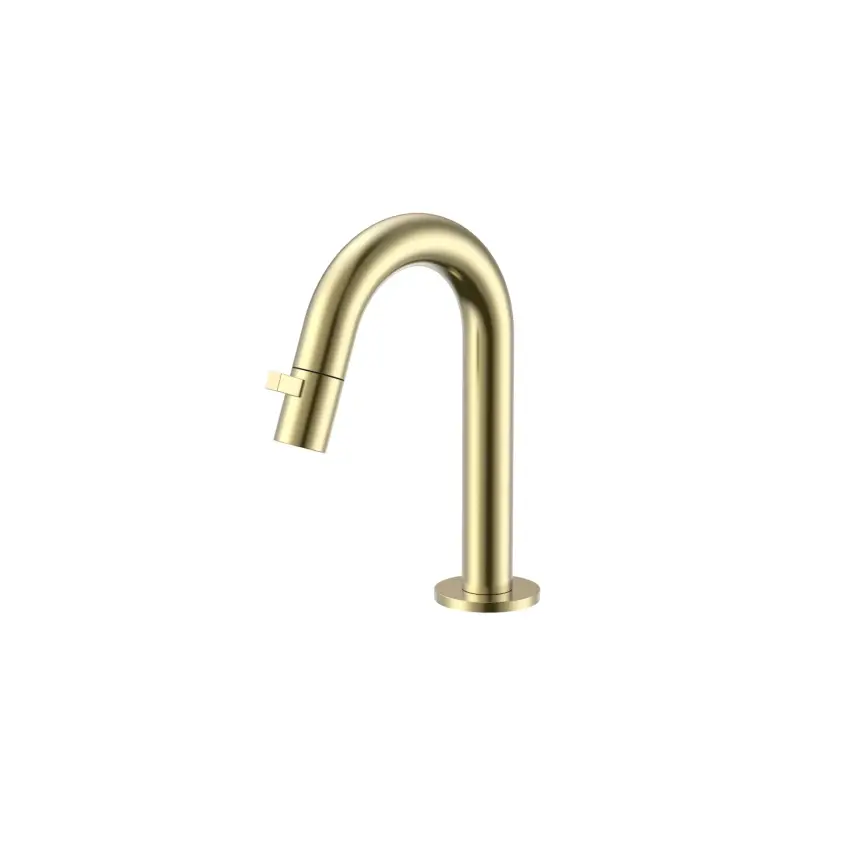 DutchLine - Round Fonteinkraan 189mm - Geborsteld messing - 1