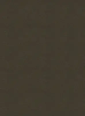 DutchLine - SPC Wandpaneel - Cemento Bruin Mat - 1