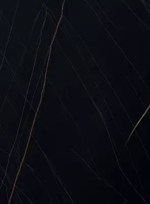 DutchLine - SPC Wandpaneel - Falcon Black Gold Glans - 1