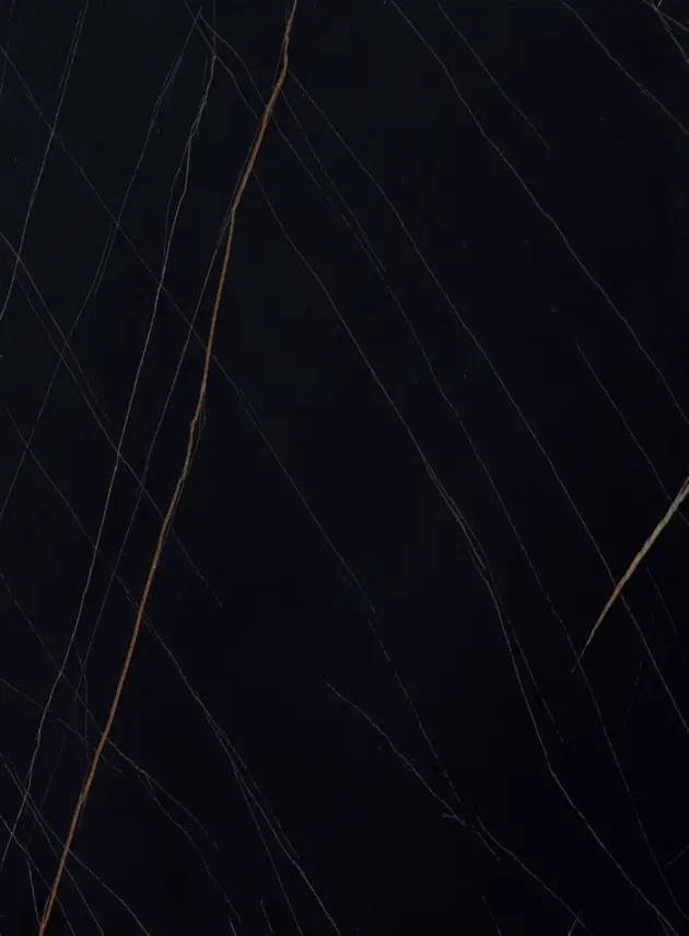 DutchLine - SPC Wandpaneel - Falcon Black Gold Glans - 1