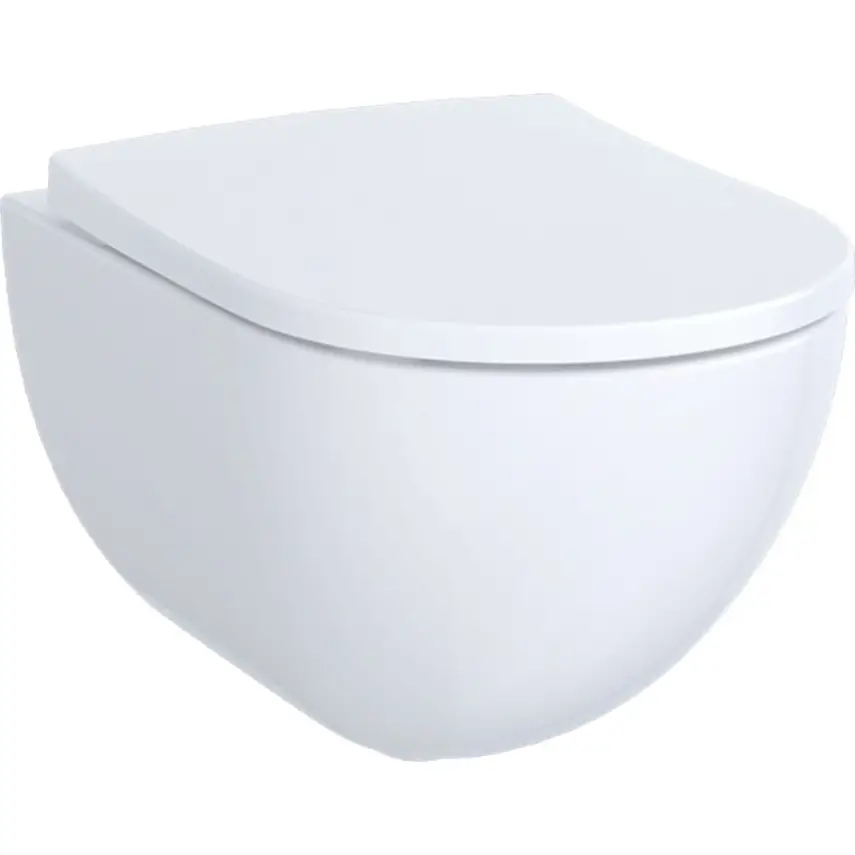 Geberit Acanto Wandcloset, Rimfree, met WC Seat - 1