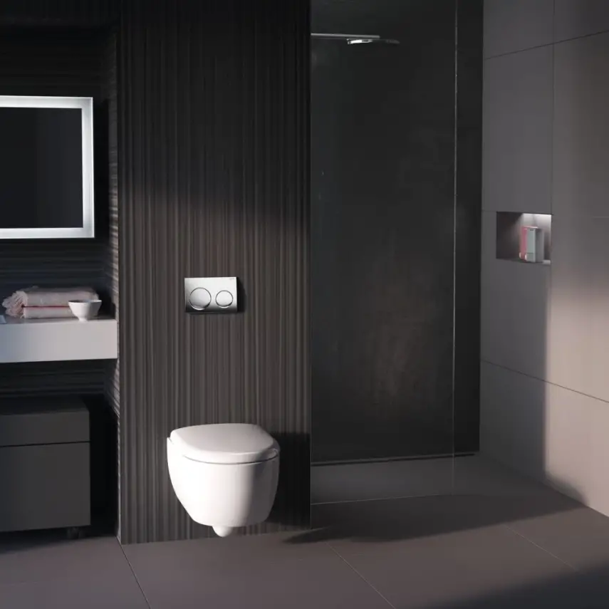 Geberit Alpha 25 Bedieningsplaat - 2-Toets Spoeling - Ronde Knoppen - Chroom - 4