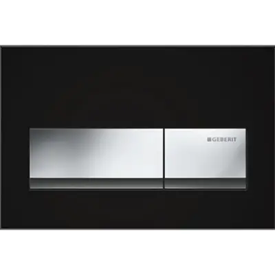 Geberit Alpha 50 Bedieningsplaat - 2-Toets Spoeling - Rechthoekige Knoppen - Zwart - 1
