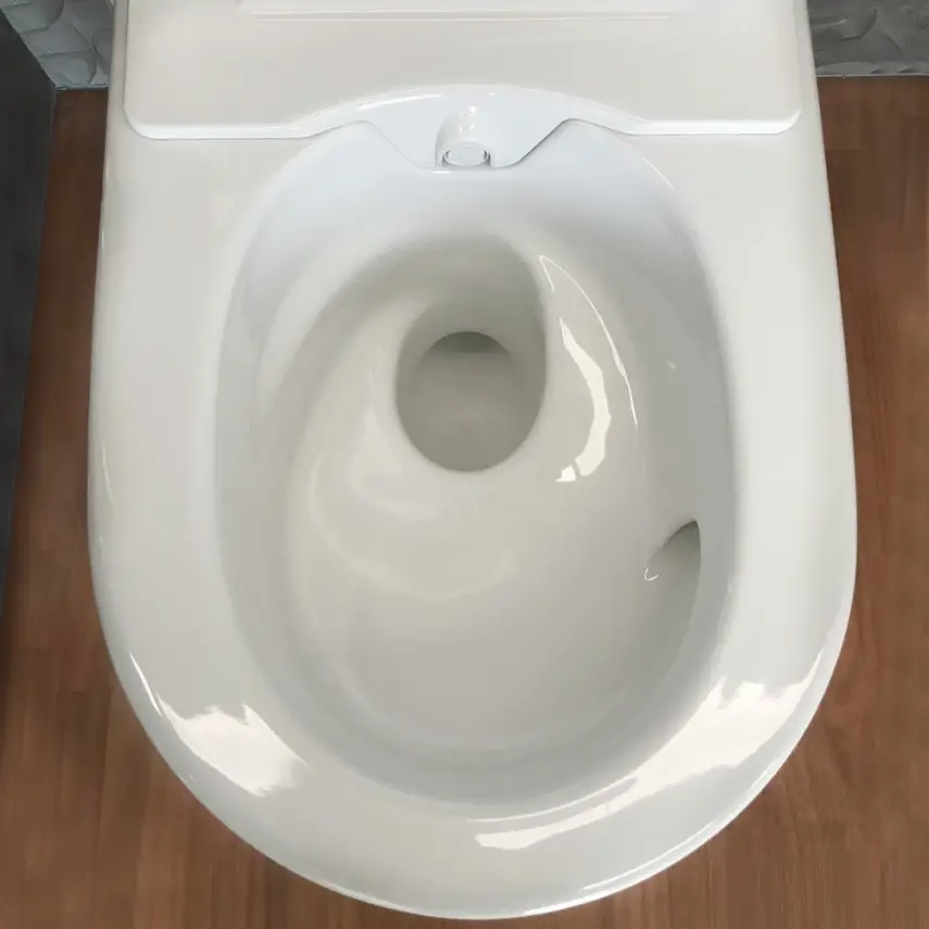Geberit AquaClean Sela Comfort Douche WC Wit - 3