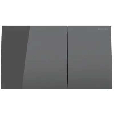 Geberit Sigma 70 Bedieningsplaat - 2-Toets Spoeling - Rechthoekige Knoppen - Antraciet Glas - 1