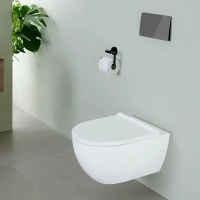 Geberit Sigma 70 Bedieningsplaat - 2-Toets Spoeling - Rechthoekige Knoppen - Antraciet Glas - 3
