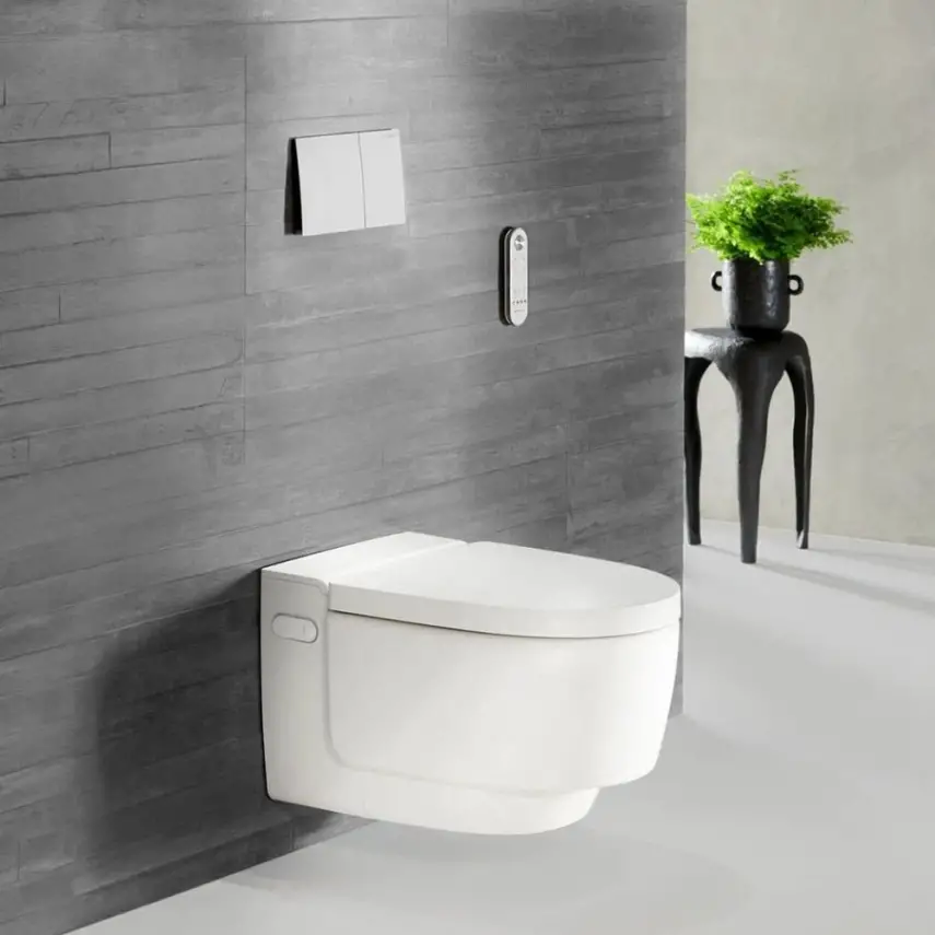 Geberit Sigma 70 Bedieningsplaat - 2-Toets Spoeling - Rechthoekige Knoppen - RVS - 4