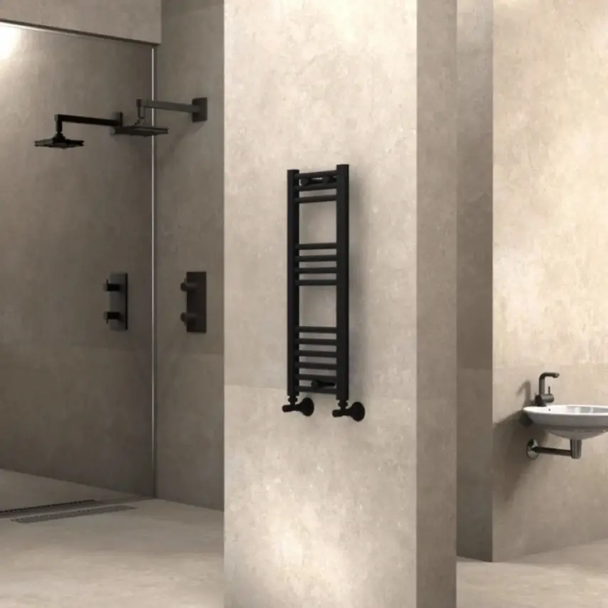 Radiva Haiti Radiator 300 x 800 mm - Zwart - 1